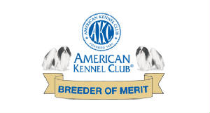 chins/BoM_web_JapaneseChin.jpg